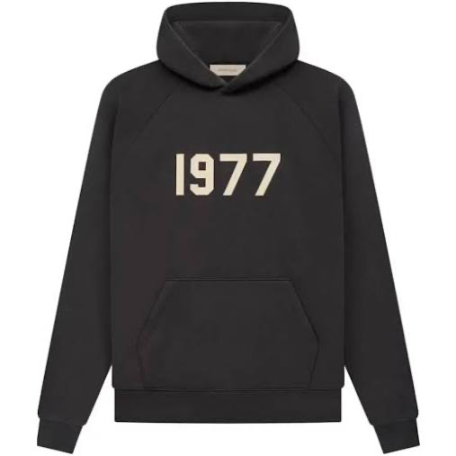 SS 21 iron hoodie