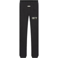 SS 21 iron pant