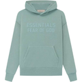 SS 22 sycamore hoodie