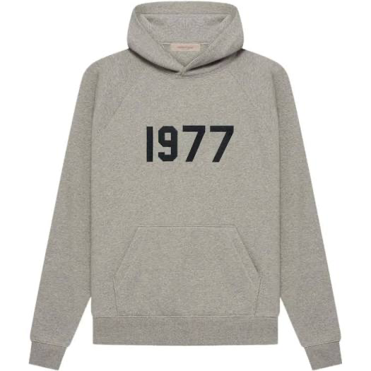 SS 21 dark 1977 hoodie