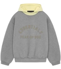 SS 24 D HR OTM/GY hoodie