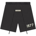 SS 21 Iron1977 short